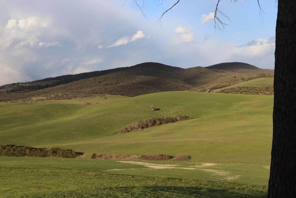 Antiche Fonti Διαμέρισμα Bibbona Εξωτερικό φωτογραφία